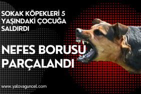 Site Özel Banner (15)