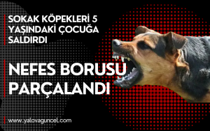 Site Özel Banner (15)