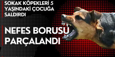 Site Özel Banner (15)