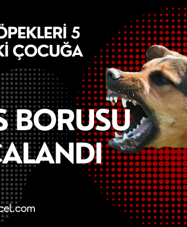 Site Özel Banner (15)