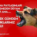 Gerçek Gündemimiz Çocuklarımız Olmalı!