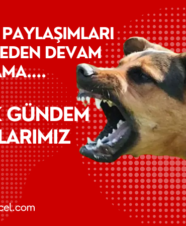 Gerçek Gündemimiz Çocuklarımız Olmalı!