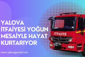 Yalova İtfaiyesi Yoğun Mesaiyle Hayat Kurtarıyor