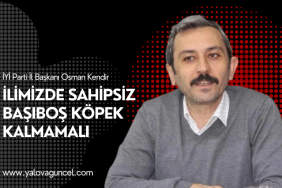 Site Özel Banner (35)