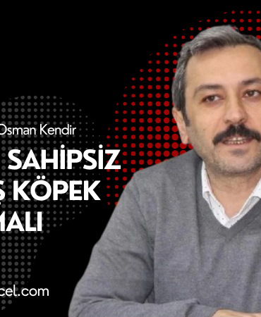 Site Özel Banner (35)