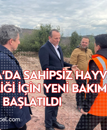 Site Özel Banner (42)