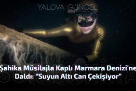 Şahika Ercümen Müsilajla Kaplı Marmara Denizi'ne Daldı