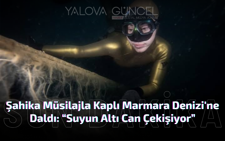 Şahika Ercümen Müsilajla Kaplı Marmara Denizi’ne Daldı