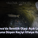 Açık Logar Kuyusuna Düşen Keçiyi İtfaiye Kurtardı