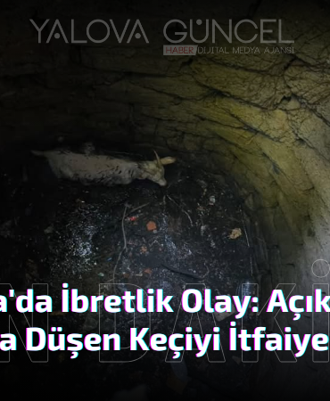 Açık Logar Kuyusuna Düşen Keçiyi İtfaiye Kurtardı