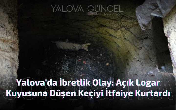 Açık Logar Kuyusuna Düşen Keçiyi İtfaiye Kurtardı