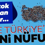 Nüfus Artış Rekoru Yalova'da: Türkiye'de 24 Yılda Demografi Değişti