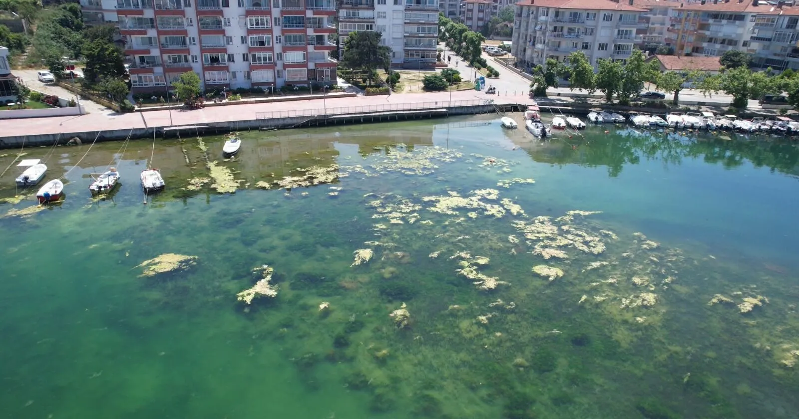 YAZ SEZONU GELDİ, YALOVA’DA KANALİZASYON KRİZİ BAŞLADI