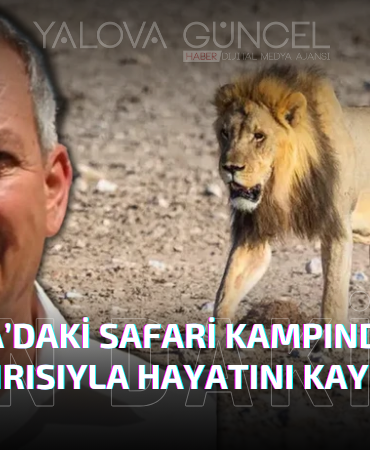 Alman İş İnsanı Aslan Saldırısıyla Hayatını Kaybetti