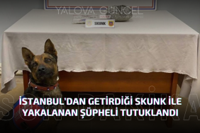 İstanbul’dan Getirdiği Skunk ile Yakalanan Şüpheli Tutuklandı