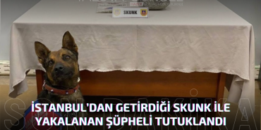 İstanbul’dan Getirdiği Skunk ile Yakalanan Şüpheli Tutuklandı