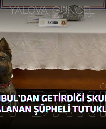 İstanbul’dan Getirdiği Skunk ile Yakalanan Şüpheli Tutuklandı