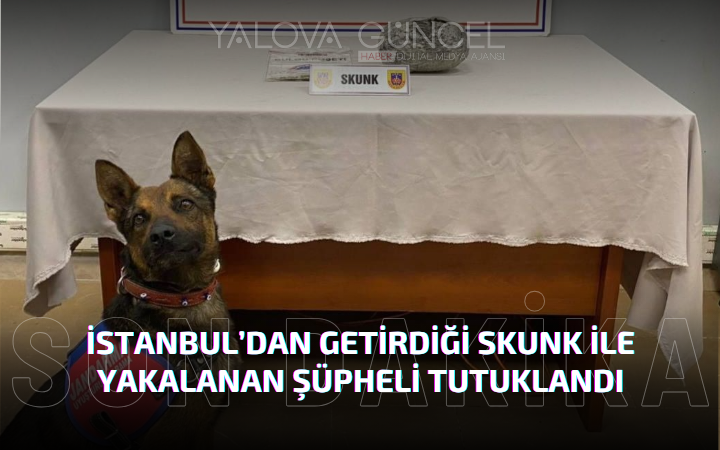 İstanbul’dan Getirdiği Skunk ile Yakalanan Şüpheli Tutuklandı