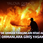 Türkiye’de Orman Yangınları Riski Artıyor