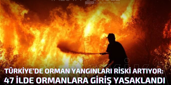 Türkiye’de Orman Yangınları Riski Artıyor