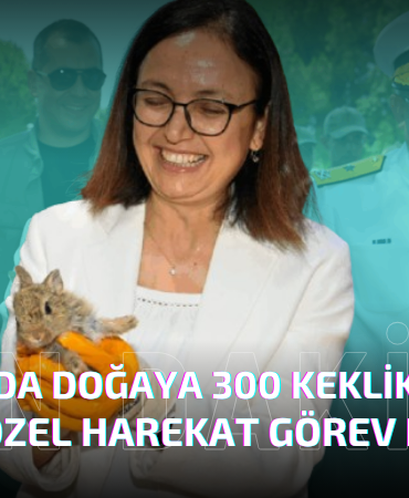 Ekolojik Denge ve Yaban Hayatı Koruma Çalışmaları Sürüyor 300 Keklik Salındı