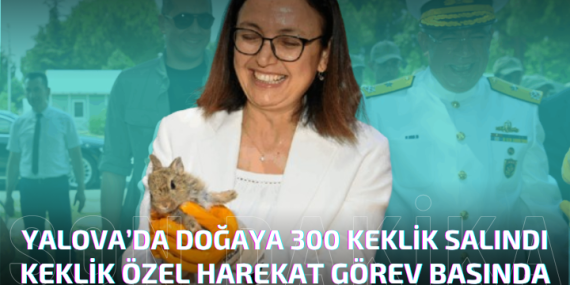 Ekolojik Denge ve Yaban Hayatı Koruma Çalışmaları Sürüyor 300 Keklik Salındı