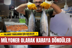 PALAMUT BEKLERKEN TORİK VURDU: SİNOP'LU BALIKÇILAR MİLYONER OLARAK KARAYA DÖNDÜ