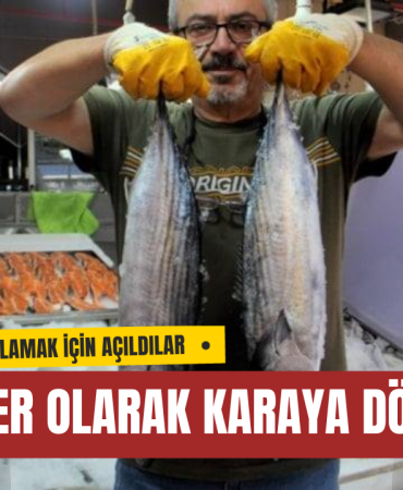 PALAMUT BEKLERKEN TORİK VURDU: SİNOP'LU BALIKÇILAR MİLYONER OLARAK KARAYA DÖNDÜ