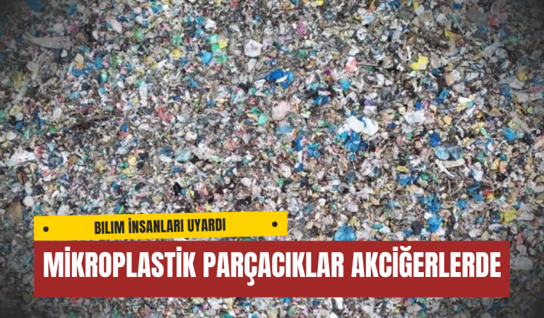 Bilim İnsanları Uyardı: Mikroplastik Parçacıklar Akciğerlerde Birikerek Kanser Riskini Artırıyor
