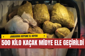 Armutlu’da 500 Kilo Kaçak Midye Ele Geçirildi