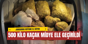 Armutlu’da 500 Kilo Kaçak Midye Ele Geçirildi