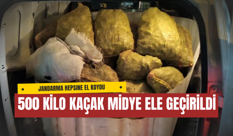 Armutlu’da 500 Kilo Kaçak Midye Ele Geçirildi