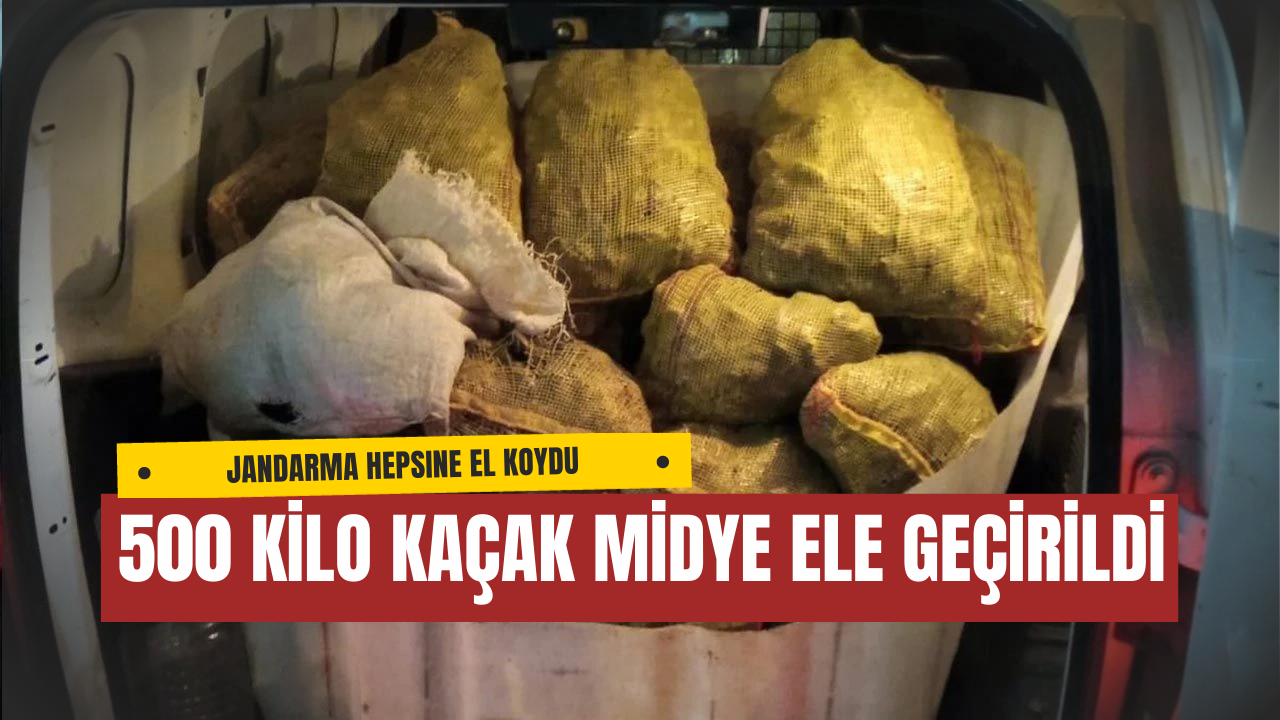 Armutlu’da 500 Kilo Kaçak Midye Ele Geçirildi