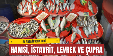 2025 Balık Fiyatları Yalova’da Ne Kadar Oldu?