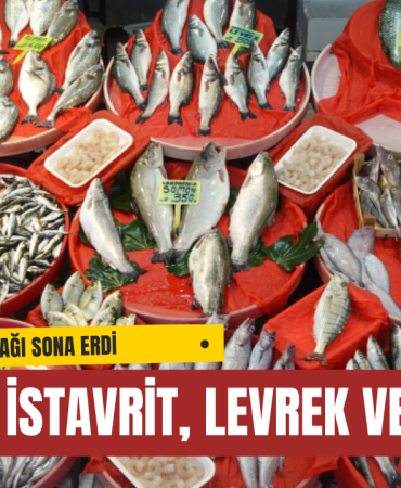 2025 Balık Fiyatları Yalova’da Ne Kadar Oldu?