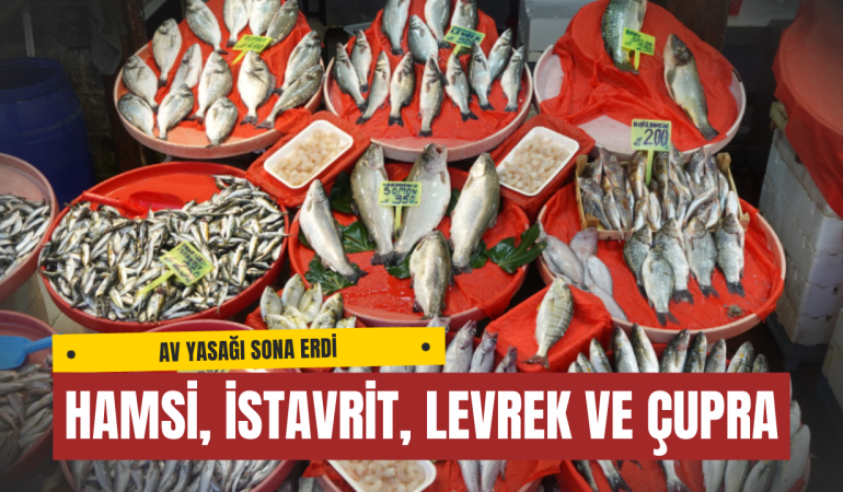 2025 Balık Fiyatları Yalova’da Ne Kadar Oldu?