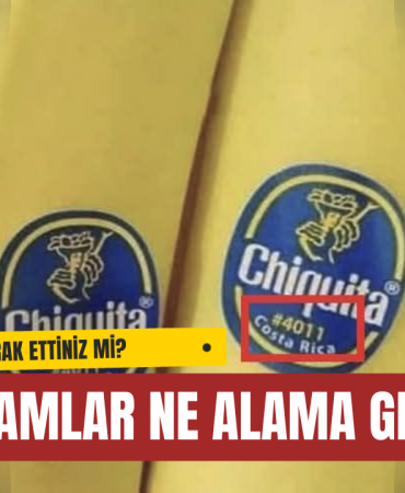 Muzun Üzerindeki Etiketler Ne Anlama Geliyor?