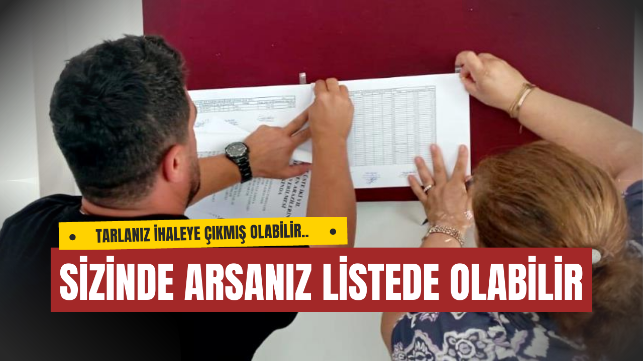 Yalova’da 15 Bin Dekar Tarım Arazisi İhaleye Çıkıyor: 2211 Parsel Askıya Çıkarıldı
