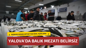 Yalova’da Balık Mezatı Kurulma Süreci Belirsizliğini Koruyor