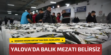 Yalova’da Balık Mezatı Kurulma Süreci Belirsizliğini Koruyor