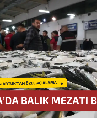 Yalova’da Balık Mezatı Kurulma Süreci Belirsizliğini Koruyor