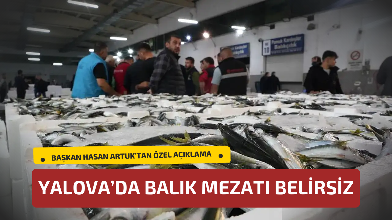 Yalova’da Balık Mezatı Kurulma Süreci Belirsizliğini Koruyor