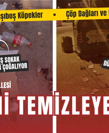 Yalova Paşakent Mahallesi’nde Çöp Dağları ve Başıboş Köpekler Kriz Yarattı