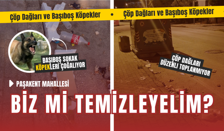 Yalova Paşakent Mahallesi’nde Çöp Dağları ve Başıboş Köpekler Kriz Yarattı