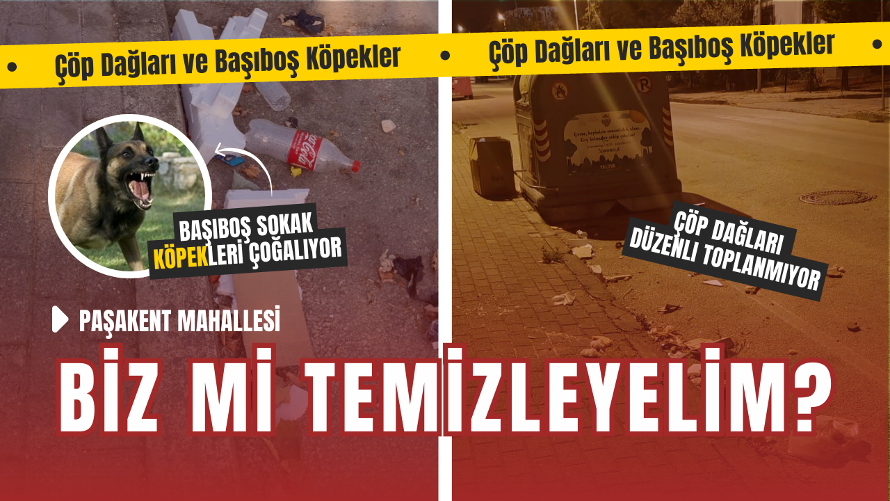 Yalova Paşakent Mahallesi’nde Çöp Dağları ve Başıboş Köpekler Kriz Yarattı