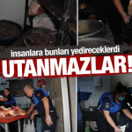 Şanlıurfa’da Şok Denetim: 1 Ton Bozuk Et Ele Geçirildi