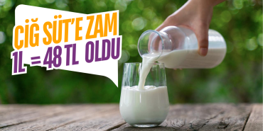 Yalova’da Çiğ Süt Fiyatlarına Yüzde 20 Zam: 1 Litre 48 TL Oldu