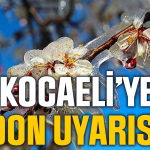 Kocaeli’de Zirai Don Alarmı: Soğuk Hava Dalgası Tarımı Tehdit Ediyor