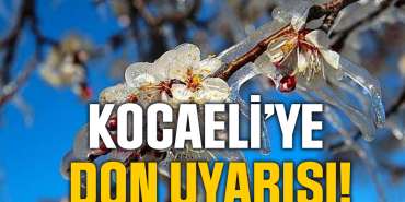 Kocaeli’de Zirai Don Alarmı: Soğuk Hava Dalgası Tarımı Tehdit Ediyor