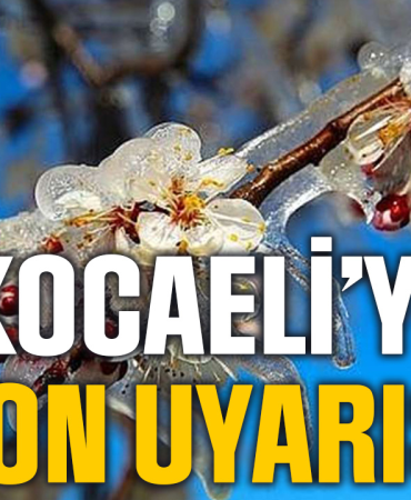 Kocaeli’de Zirai Don Alarmı: Soğuk Hava Dalgası Tarımı Tehdit Ediyor